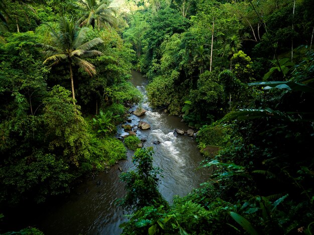 Bali landscape | Premium Photo