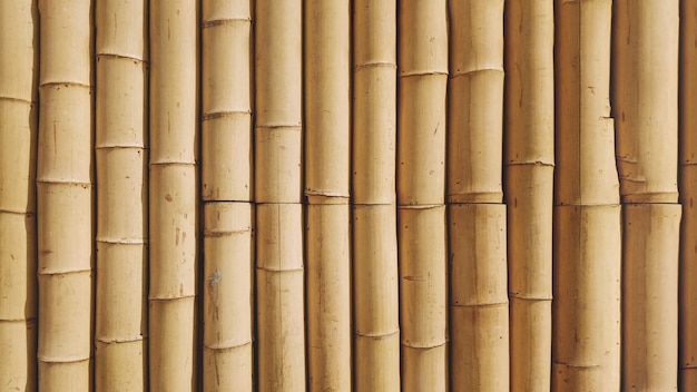 Free Photo Bamboo Background Texture