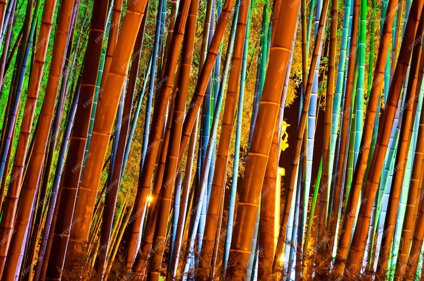 Premium Photo | Bamboo forest with colorful illumination at night