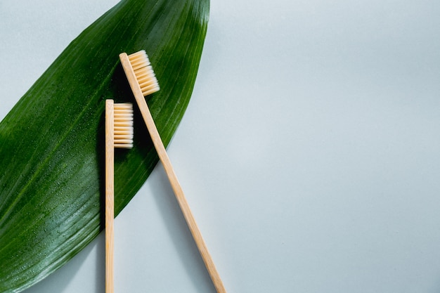 Premium Photo | Bamboo wooden toothbrushes on pastel