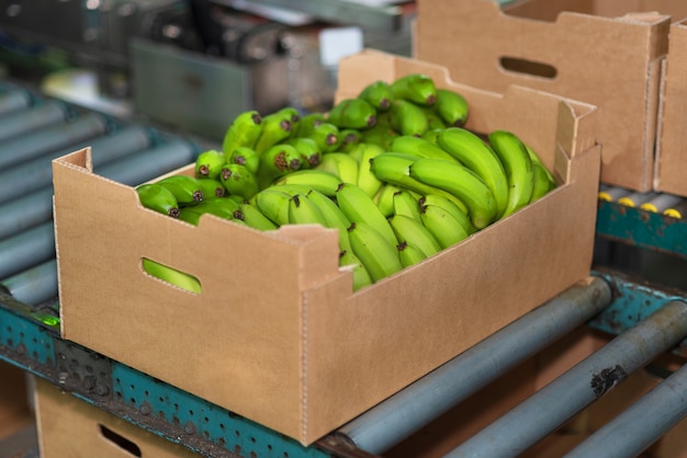 Premium Photo Banana Box In Packaging Chain