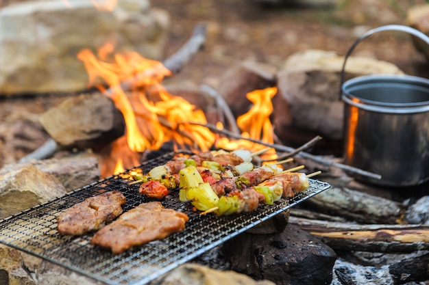 Bbq / steak meat roast on a natural fire camping atmosphere. | Premium ...