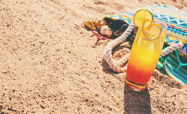 Starfish And Shells On Sand Photo Free Download