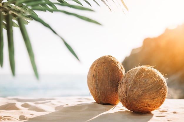 Free Photo | Beach background with coconuts