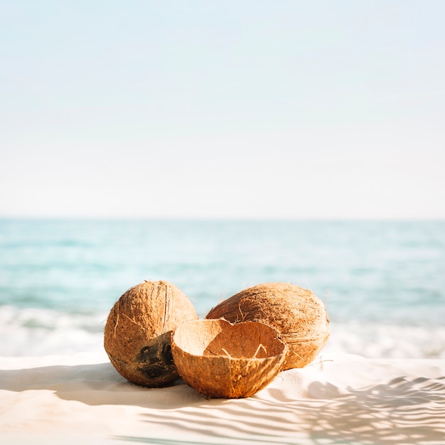 Beach background with three coconuts Photo | Free Download