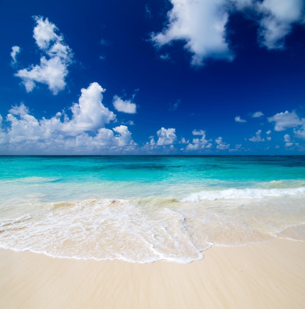 Premium Photo | Beach landscape and blue sky with white clouds