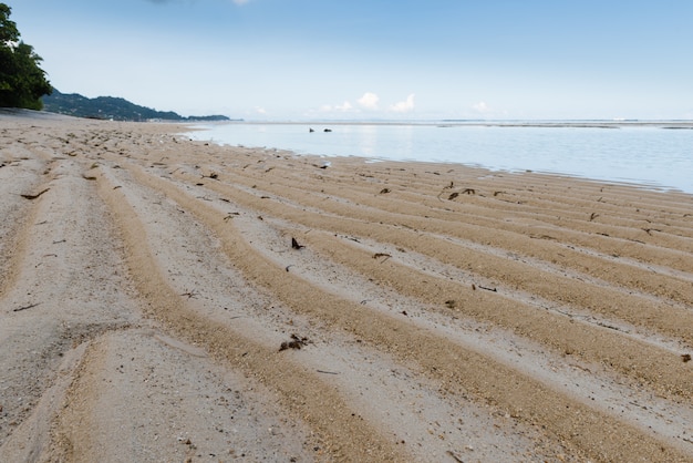 Premium Photo Beach And Low Tide