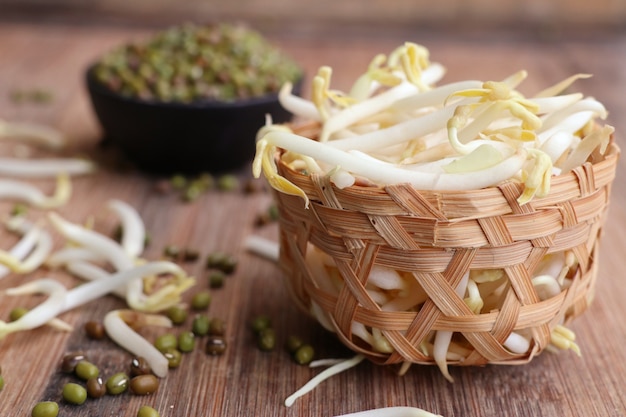 Premium Photo | Bean sprouts with seed