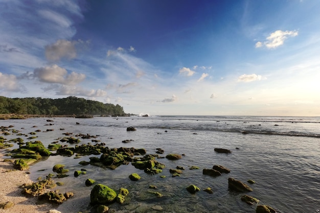 Premium Photo | Beautiful afternoon scenery at wediombo beach wediombo ...