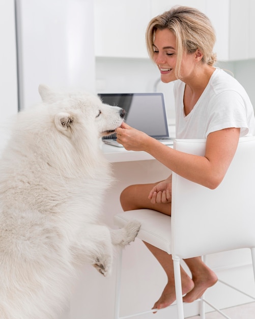 美しくて素敵な犬と女 無料の写真