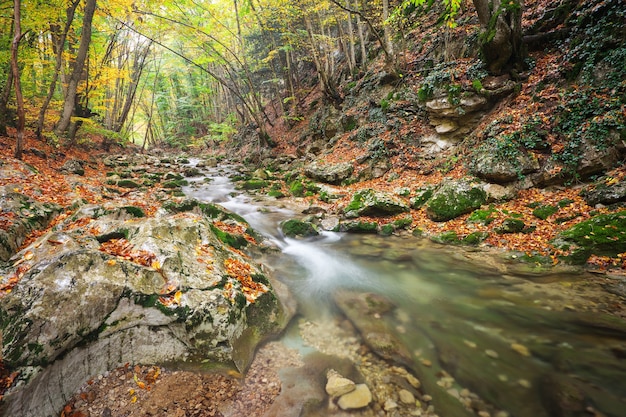 Premium Photo | Beautiful autumn landscape with mountain river and ...