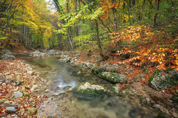 Premium Photo | Beautiful autumn landscape with mountain river and ...