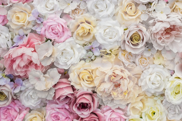 白とピンクのバラの美しい背景 無料の写真