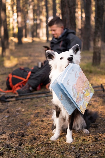 Free Photo | Beautiful black and white dog holding a map