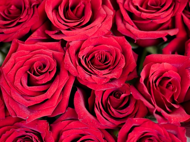 Free Photo | Beautiful bright red rose bouquet