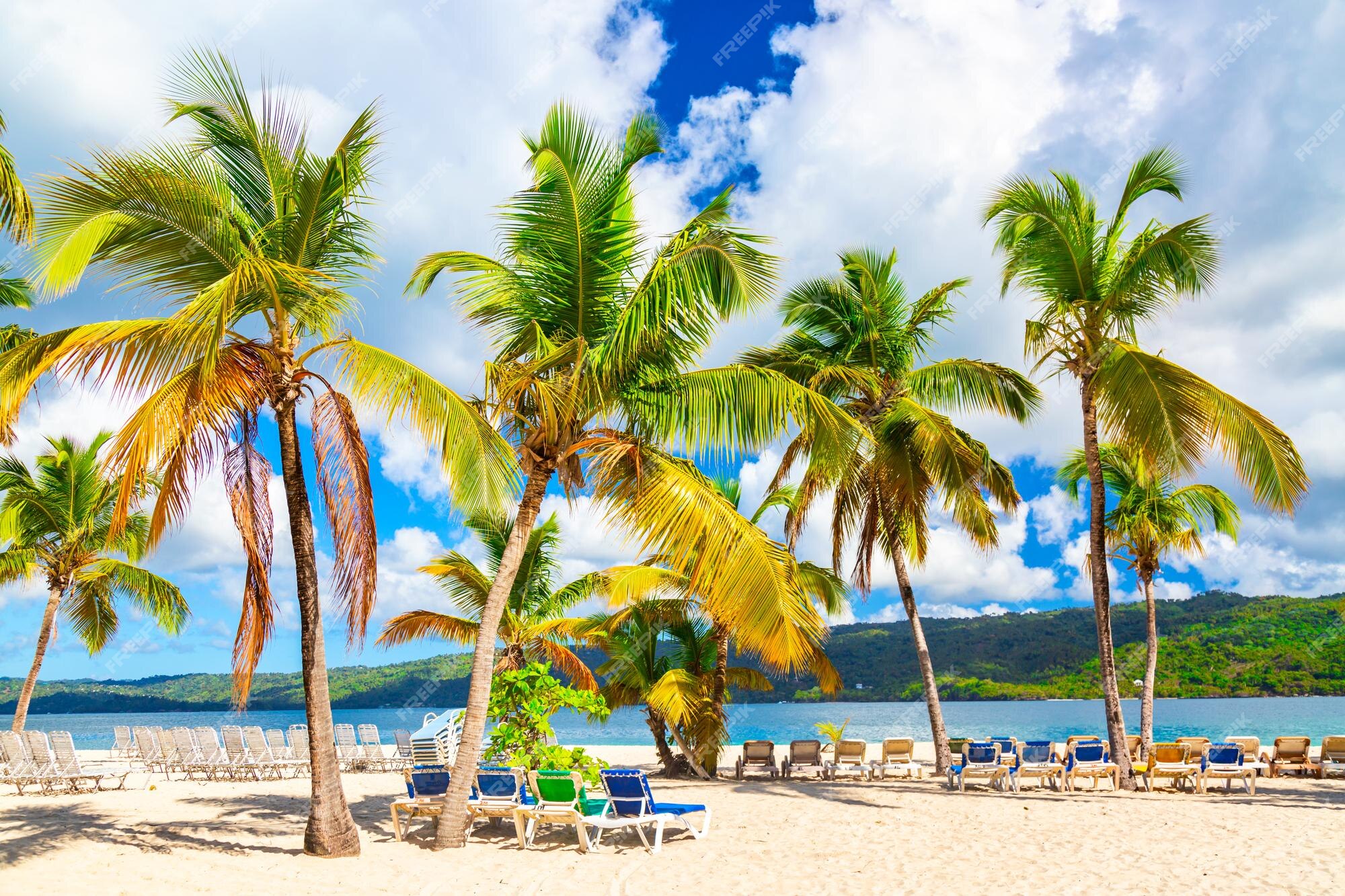 Premium Photo | Beautiful cayo levantado island beach with palms ...