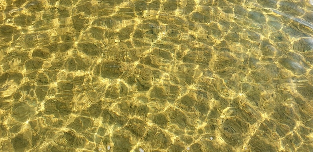 Premium Photo | Beautiful clear water with light ripples of a summer lake