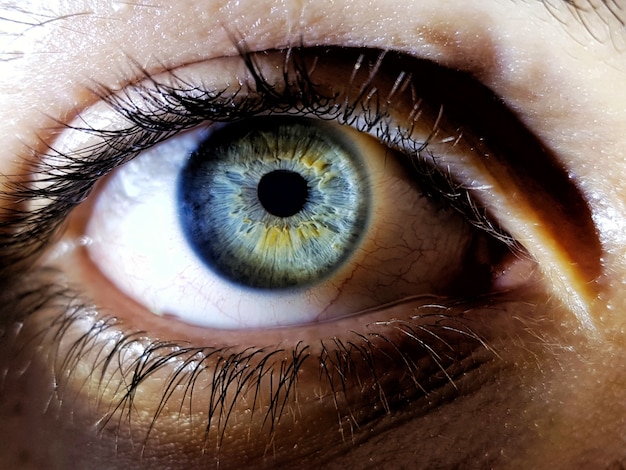 Free Photo | Beautiful closeup shot of a female human's deep blue eyes