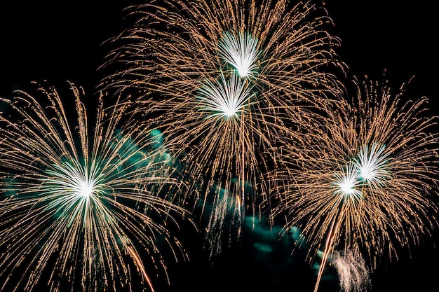 Beautiful colorful firework display at night for celebrate Free Photo