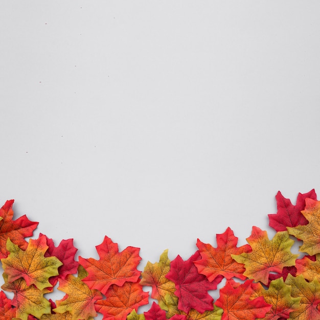 Композиция Из Осенних Листьев Фото