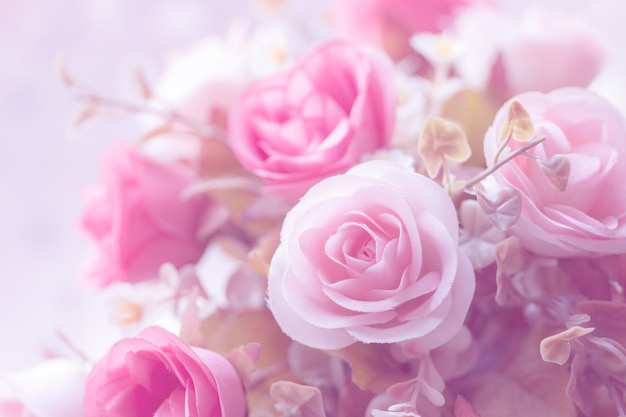 rose flower background