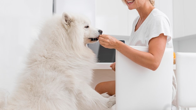 家の中の美しい犬と女性 無料の写真