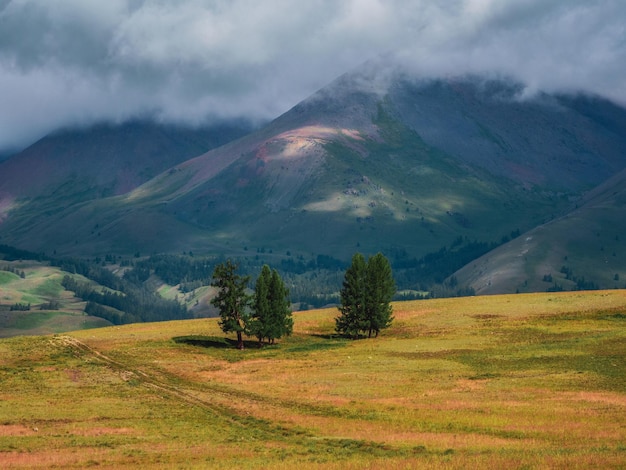 Premium Photo Beautiful Dramatic Green Mountain Landscape With Long