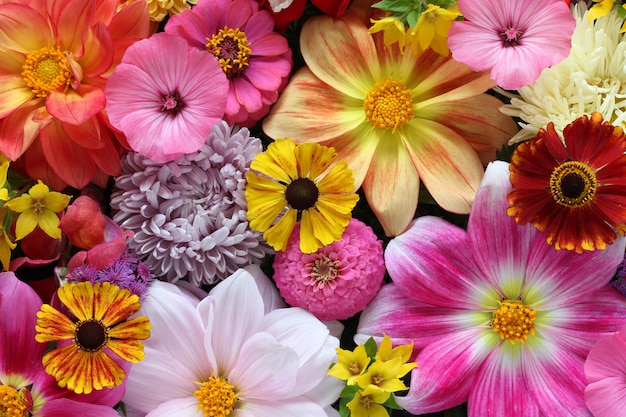 美しい花の背景 上面図 庭の花の花束 自然な背景 プレミアム写真