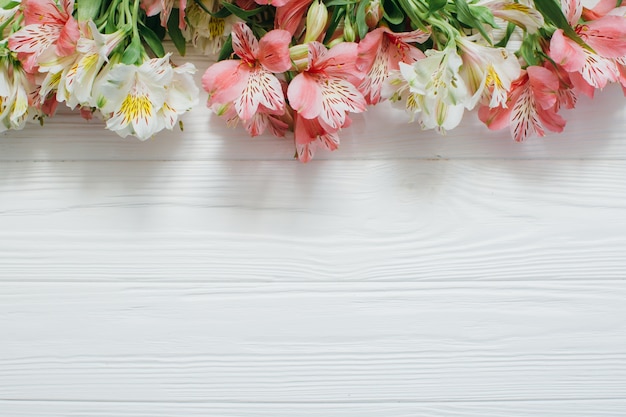 Beautiful flowers on white wooden background Photo | Premium Download