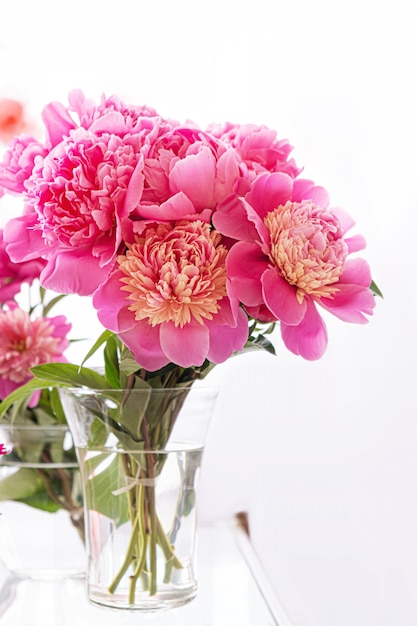 14 000 Peony Pictures