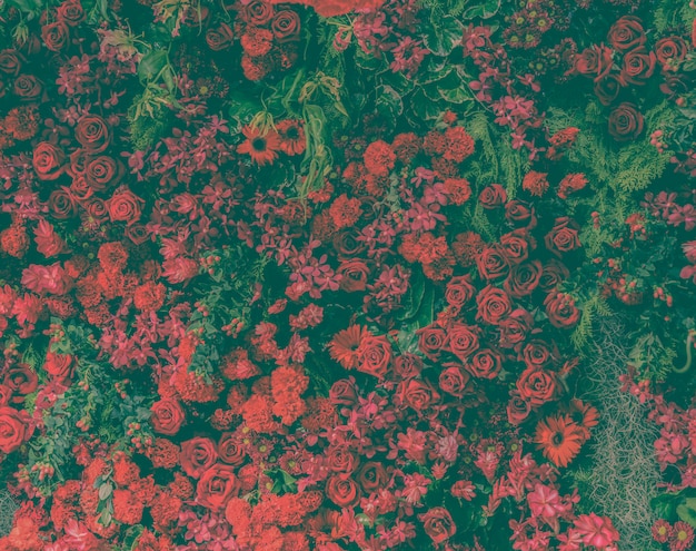 美しい新鮮な赤いバラとさまざまな種類の赤い花で飾られた庭の壁 プレミアム写真
