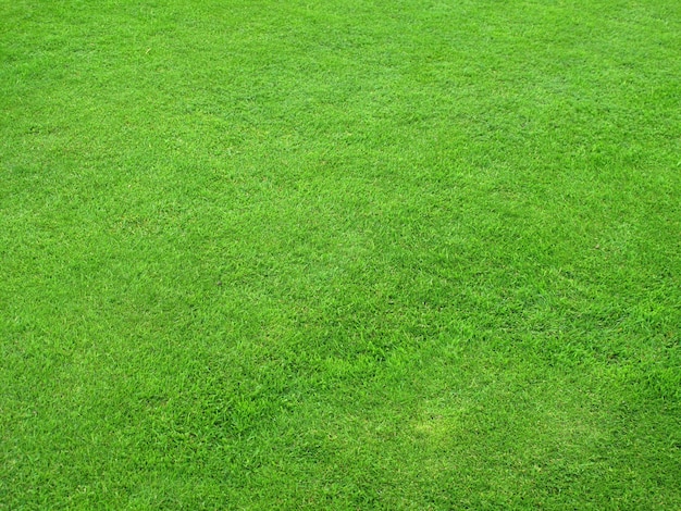 Premium Photo | Beautiful green lawns perfectly cut for background