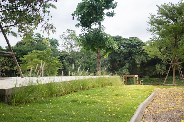 Premium Photo | Beautiful home garden with trees and green grass