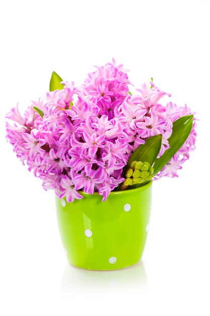 Premium Photo | Beautiful hyacinths