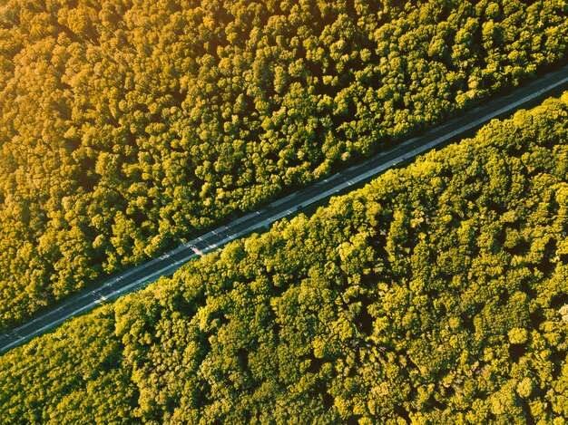 Premium Photo | Beautiful ladscape photo from drone, top view of forest ...