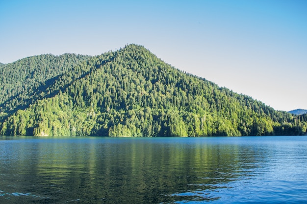 Premium Photo | Beautiful lake with a mountain full of trees