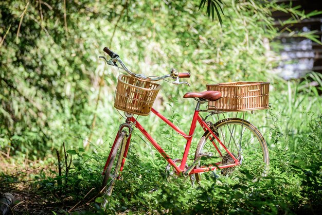 Premium Photo | Beautiful landscape image with bicycle