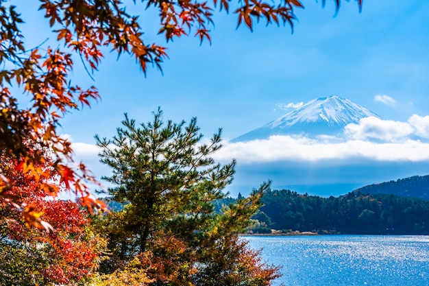 Bellissimo Paesaggio Di Montagna Fuji Foto Gratis