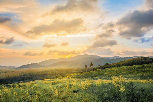 朝の日の出の美しい風景の山の景色 霧と牧草地 プレミアム写真