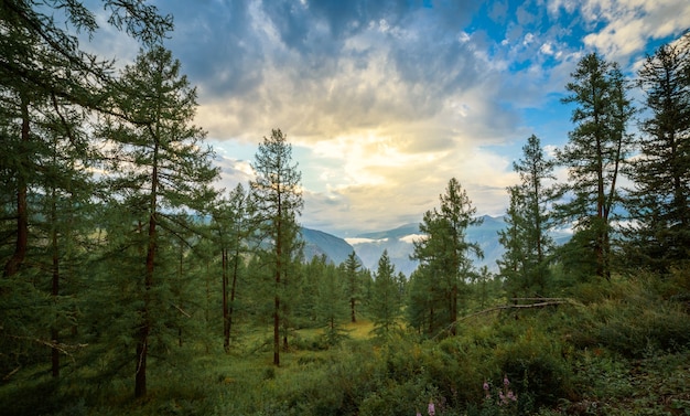 Фото Россия Красивые Качество