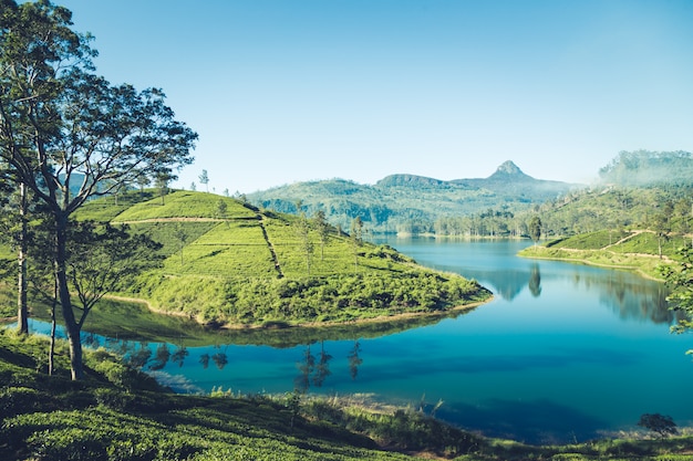 Premium Photo | Beautiful landscape of sri lanka. river, mountains and ...