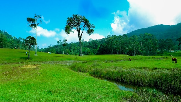 premium-photo-beautiful-landscape-in-tamil-nadu