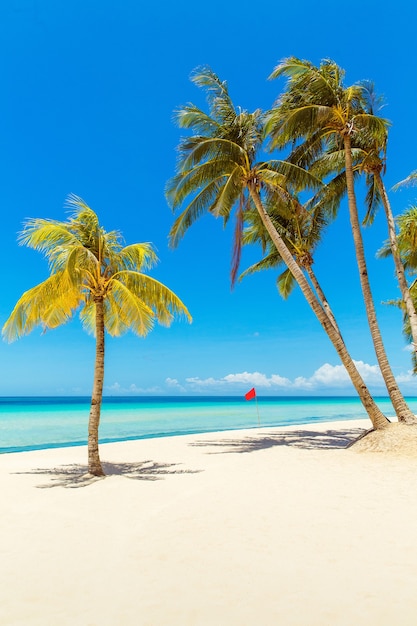 Premium Photo | Beautiful landscape of tropical beach on boracay island ...