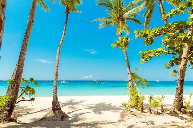 Premium Photo | Beautiful landscape of tropical beach on boracay island ...