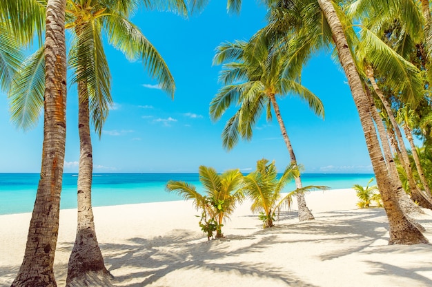 Premium Photo | Beautiful landscape of tropical beach on boracay island ...