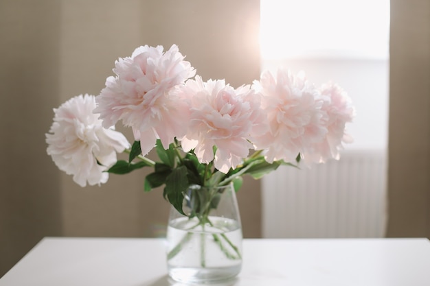 Premium Photo Beautiful Light Pink Fresh Cut Bouquet Of Pink Peonies In A Glass Vase On White 