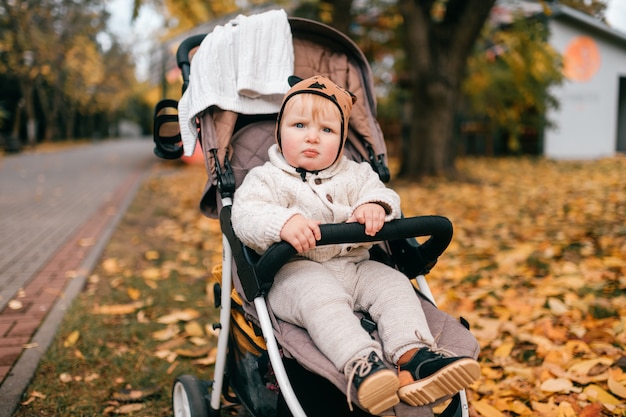 baby in a stroller