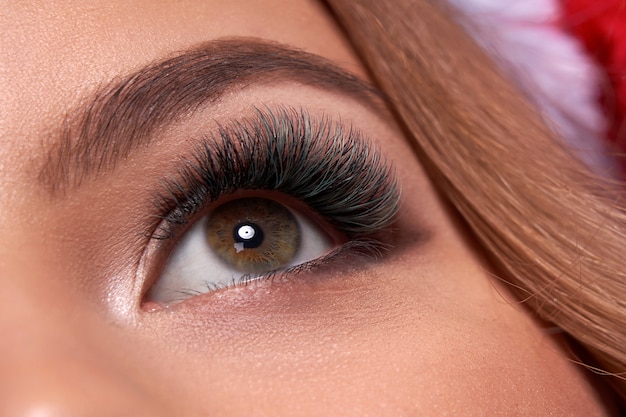 Beautiful macro shot of female eye with extreme long eyelashes and black liner makeup Premium Photo