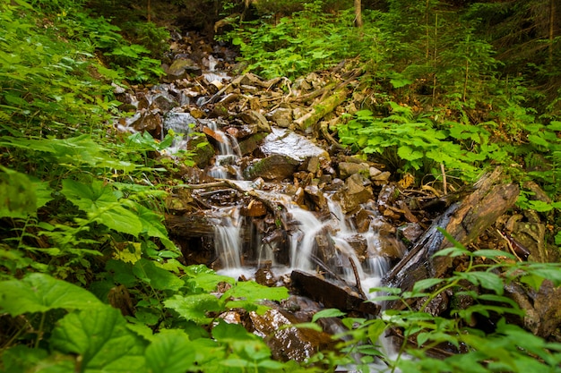 Free Photo | Beautiful mountain stream on mountains