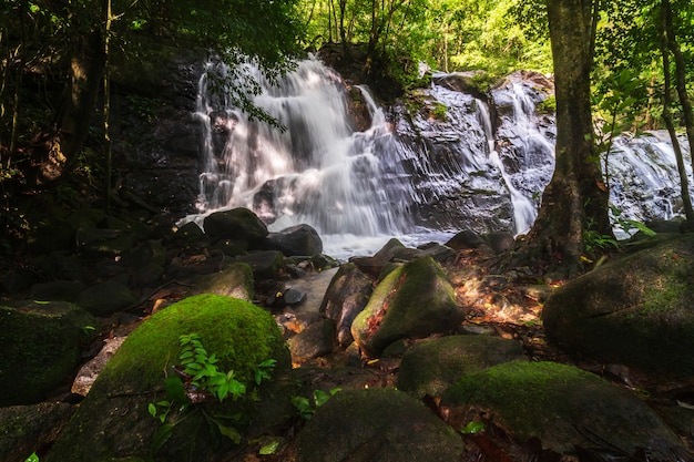 Beautiful Nature Waterfall Premium Photo